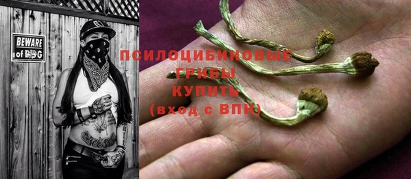 кокс Белокуриха