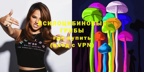 кокс Белокуриха