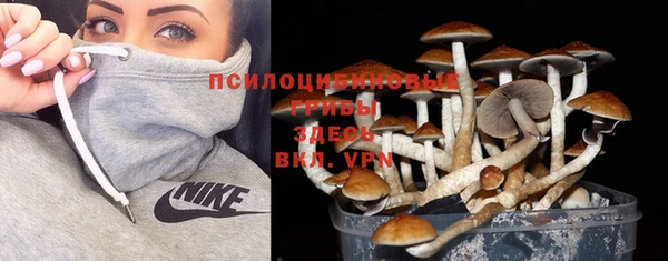 Альфа ПВП Белоозёрский