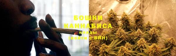 кокс Белокуриха